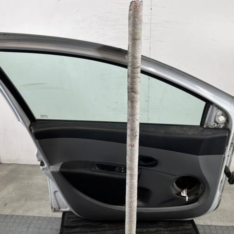 Porte avant gauche RENAULT CLIO 3 Photo n°6