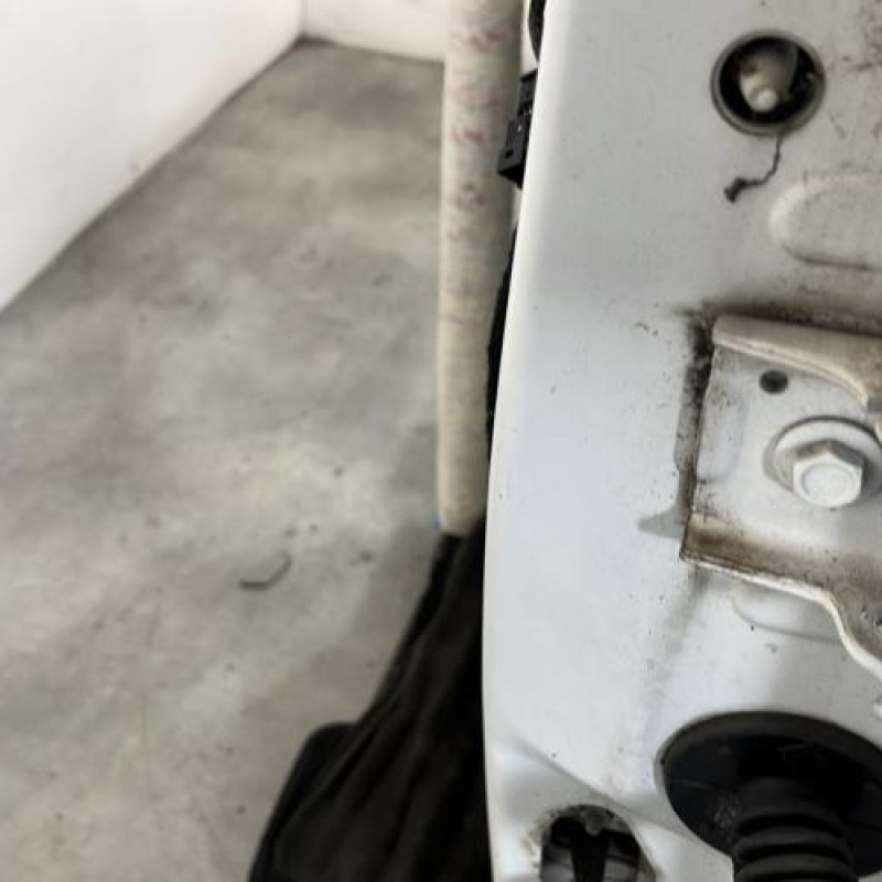 Porte avant gauche CITROEN C3 2 Photo n°4