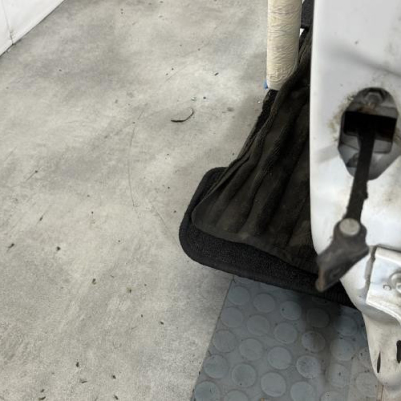 Porte avant gauche CITROEN C3 2 Photo n°5