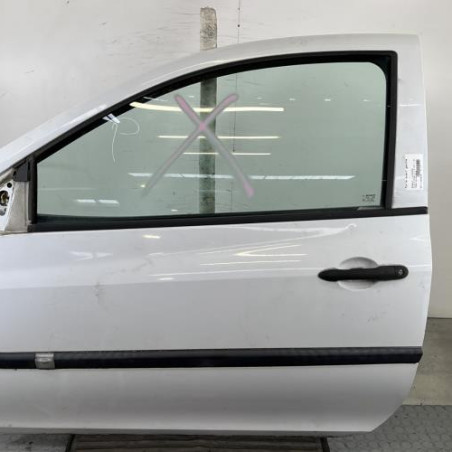 Porte avant gauche RENAULT CLIO 3 Photo n°1