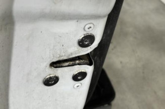 Porte avant gauche RENAULT CLIO 3