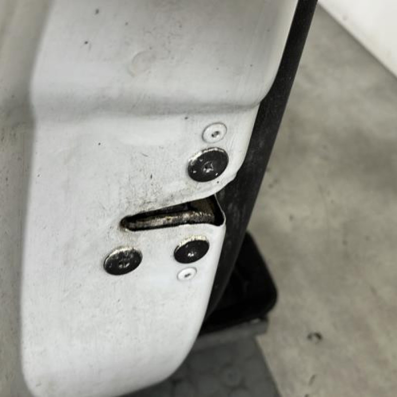 Porte avant gauche RENAULT CLIO 3 Photo n°2