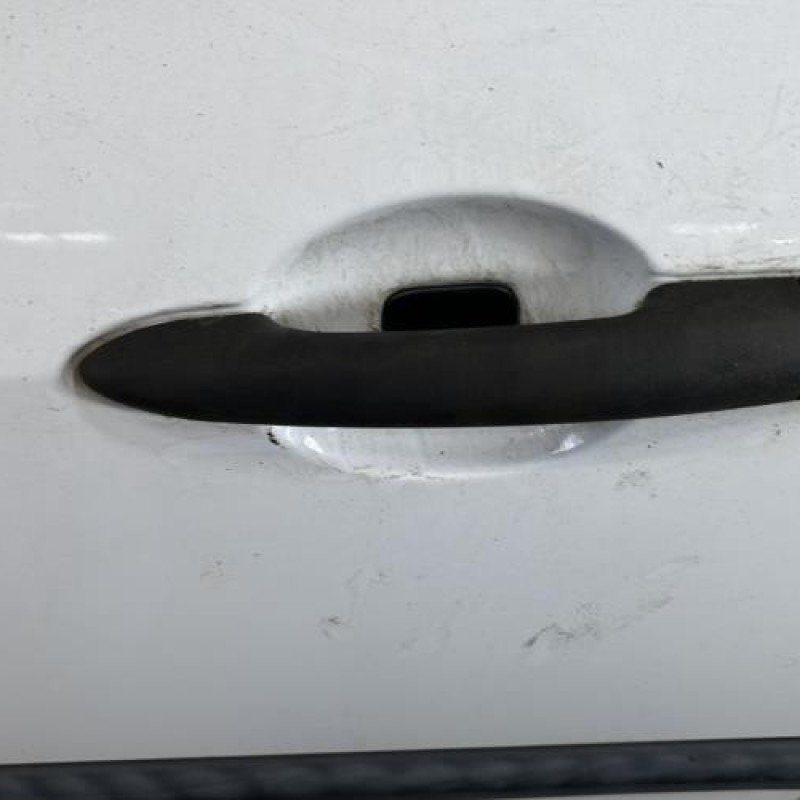 Porte avant gauche RENAULT CLIO 3 Photo n°3