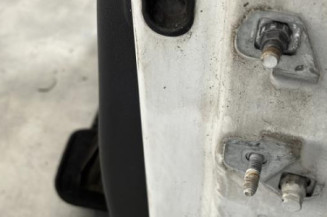 Porte avant gauche RENAULT CLIO 3