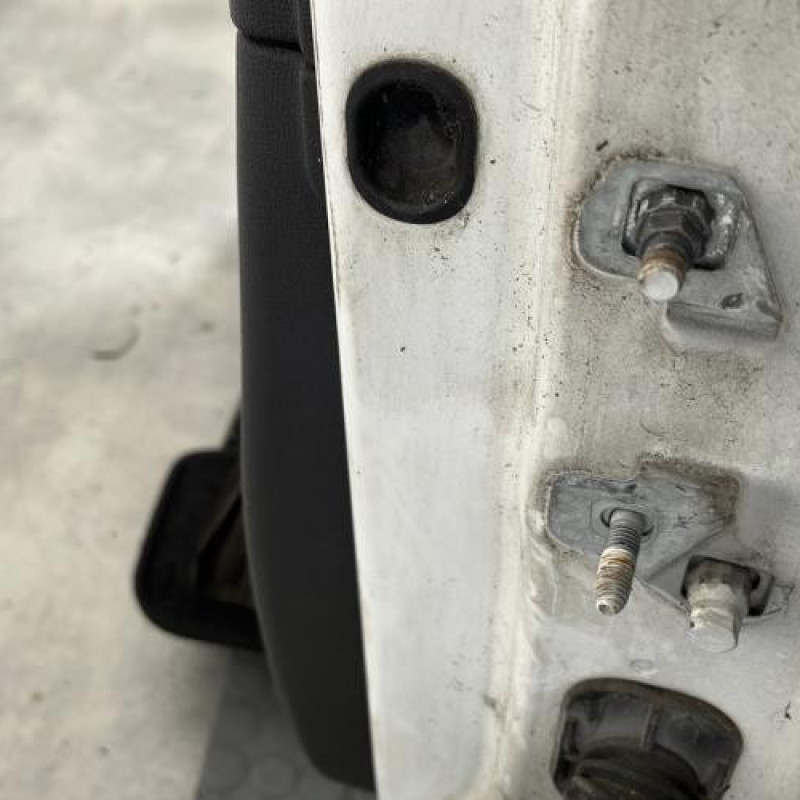 Porte avant gauche RENAULT CLIO 3 Photo n°4