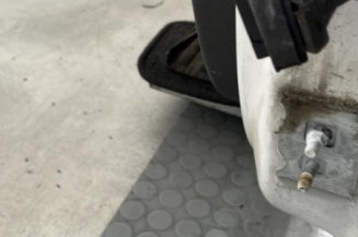Porte avant gauche RENAULT CLIO 3