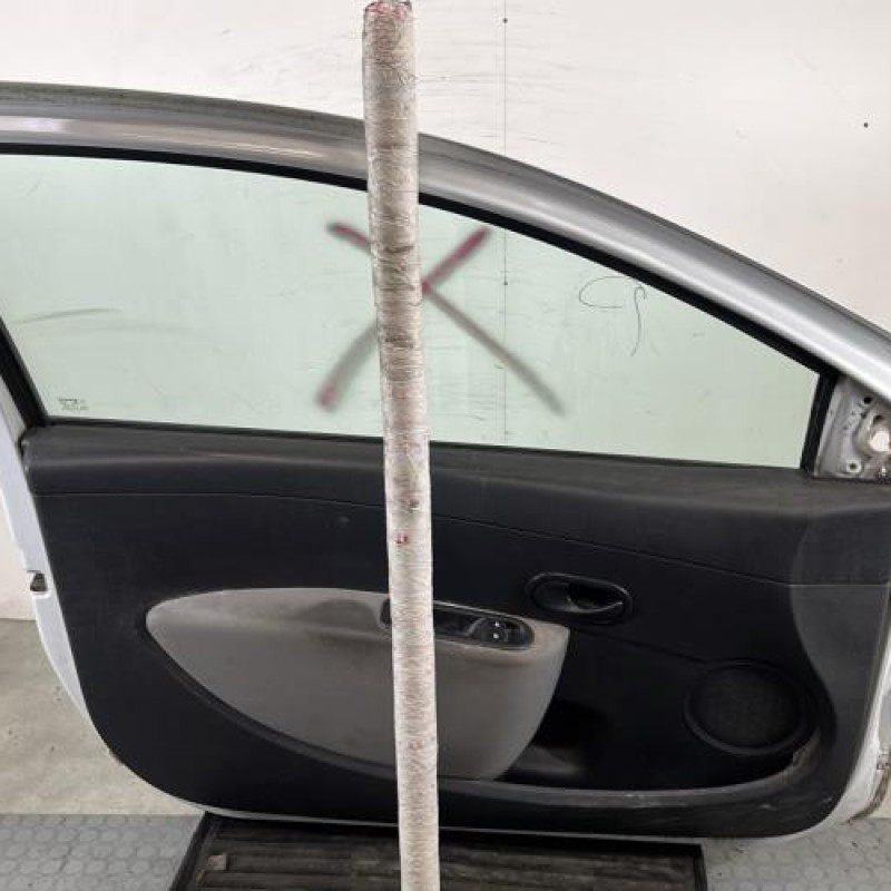 Porte avant gauche RENAULT CLIO 3 Photo n°6