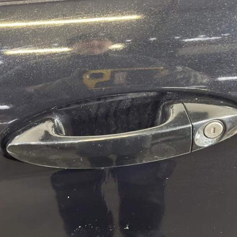Porte avant gauche FORD FIESTA 6 Photo n°2