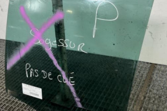 Vitre arriere gauche VOLKSWAGEN TIGUAN 1