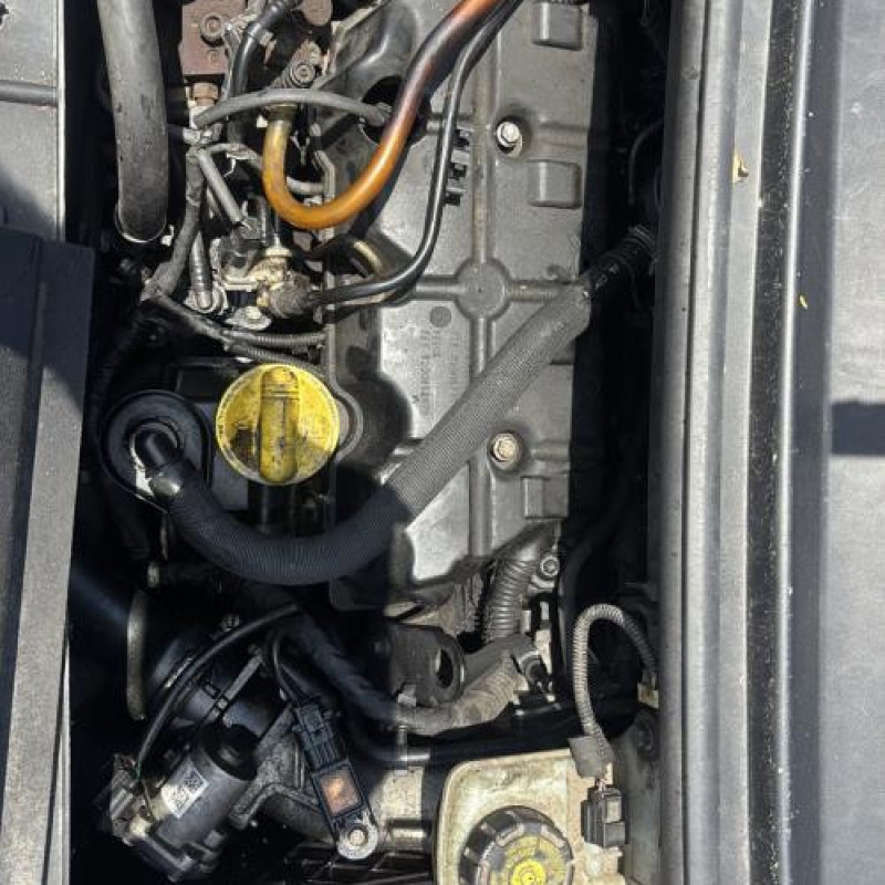 Reservoir essence RENAULT SCENIC 3 Photo n°18