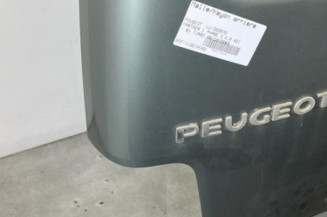 Malle/Hayon arriere PEUGEOT PARTNER 1