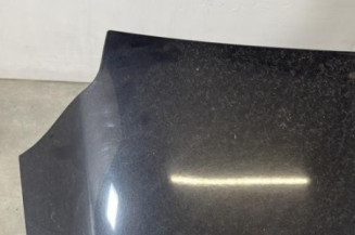 Malle/Hayon arriere PEUGEOT 508 1
