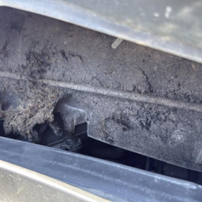 Feu arriere principal gauche (feux) CITROEN XSARA Photo n°12