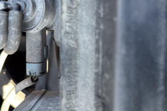 Feu arriere principal gauche (feux) CITROEN XSARA