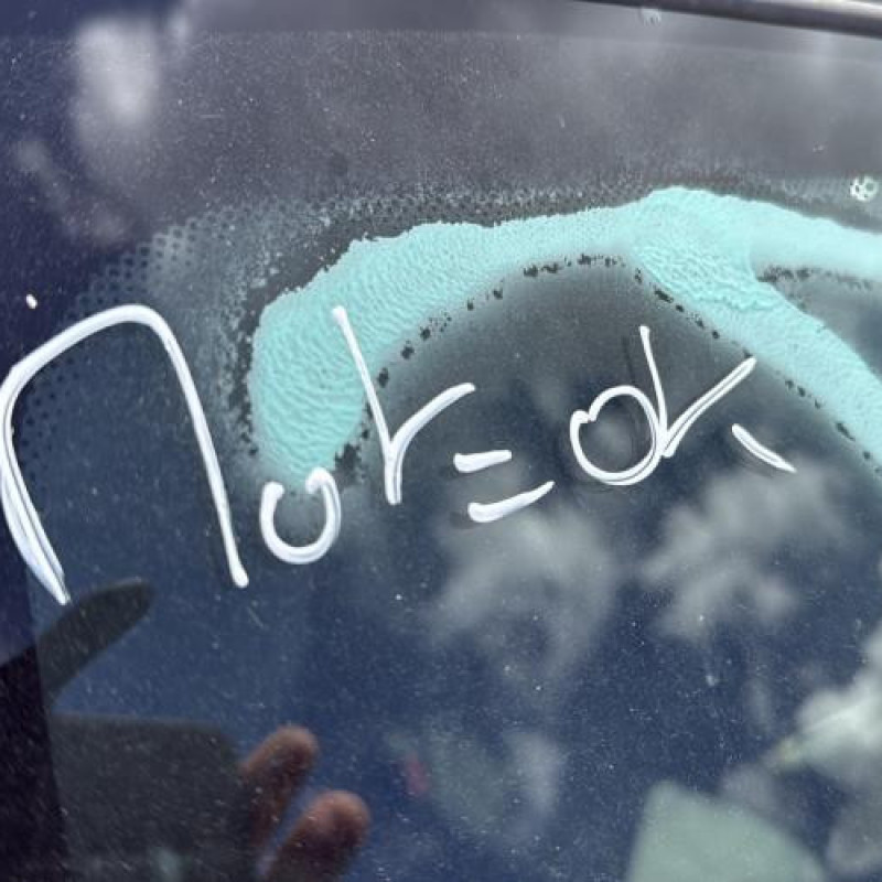 Poignee hayon RENAULT KANGOO 1 Photo n°20