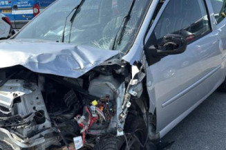 Glace retroviseur droit RENAULT TWINGO 2