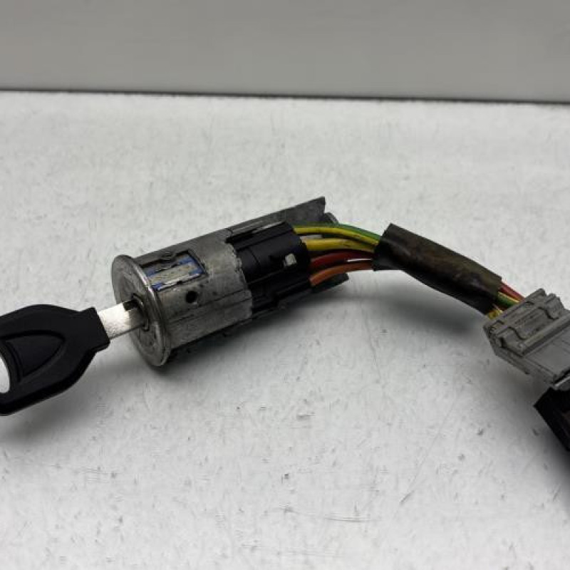 Neiman RENAULT CLIO 1 Photo n°1