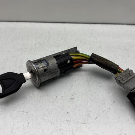 Neiman RENAULT CLIO 1 Photo n°1