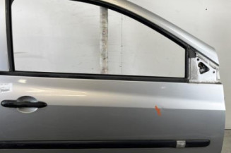 Porte avant droit RENAULT CLIO 3 Photo n°1