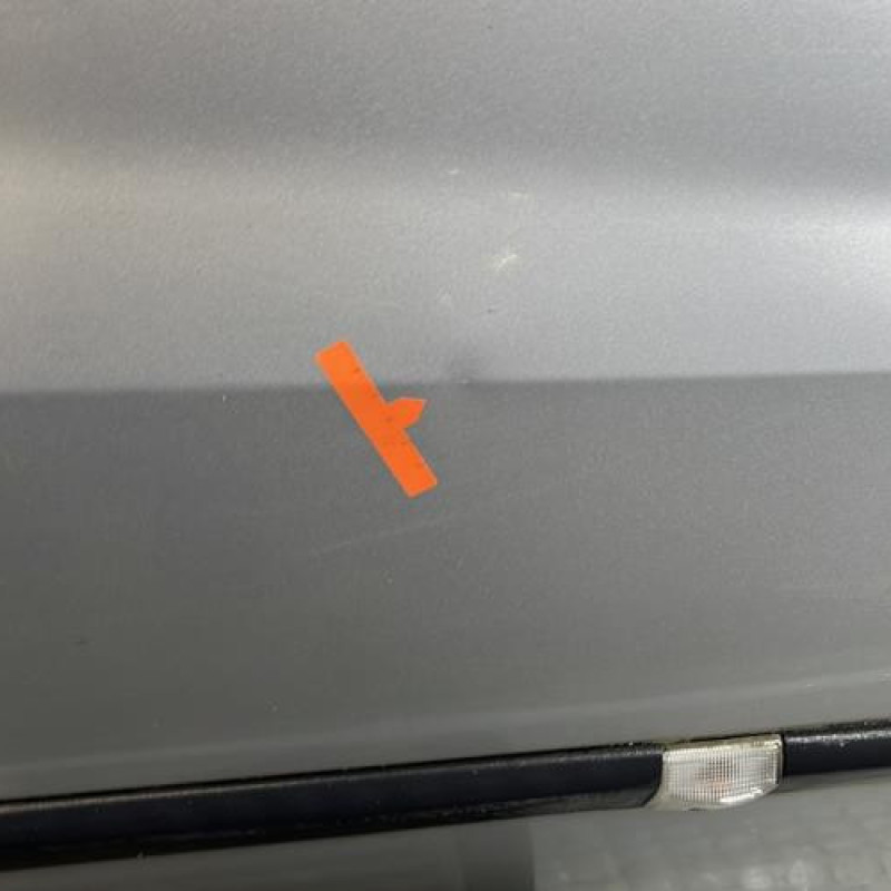 Porte avant droit RENAULT CLIO 3 Photo n°3