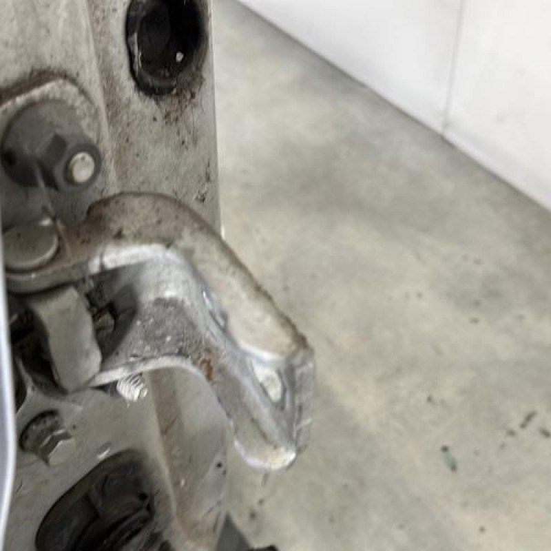 Porte avant droit RENAULT CLIO 3 Photo n°4