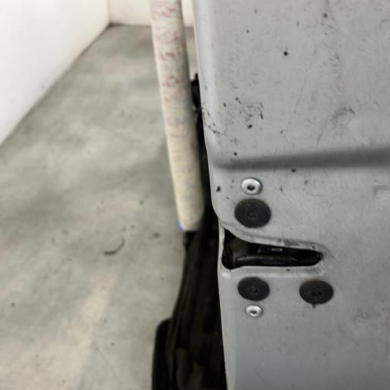 Porte avant droit RENAULT CLIO 3 Photo n°6