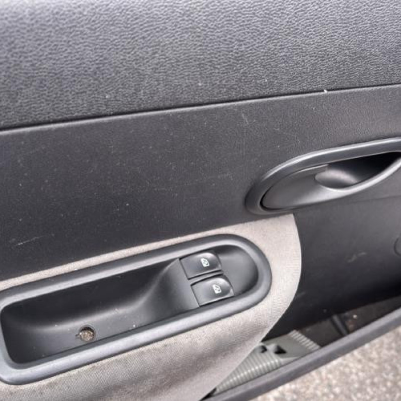 Porte avant droit RENAULT CLIO 3 Photo n°17