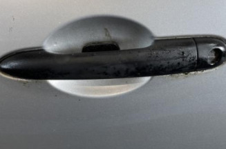 Porte avant gauche RENAULT CLIO 3