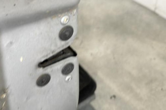 Porte avant gauche RENAULT CLIO 3
