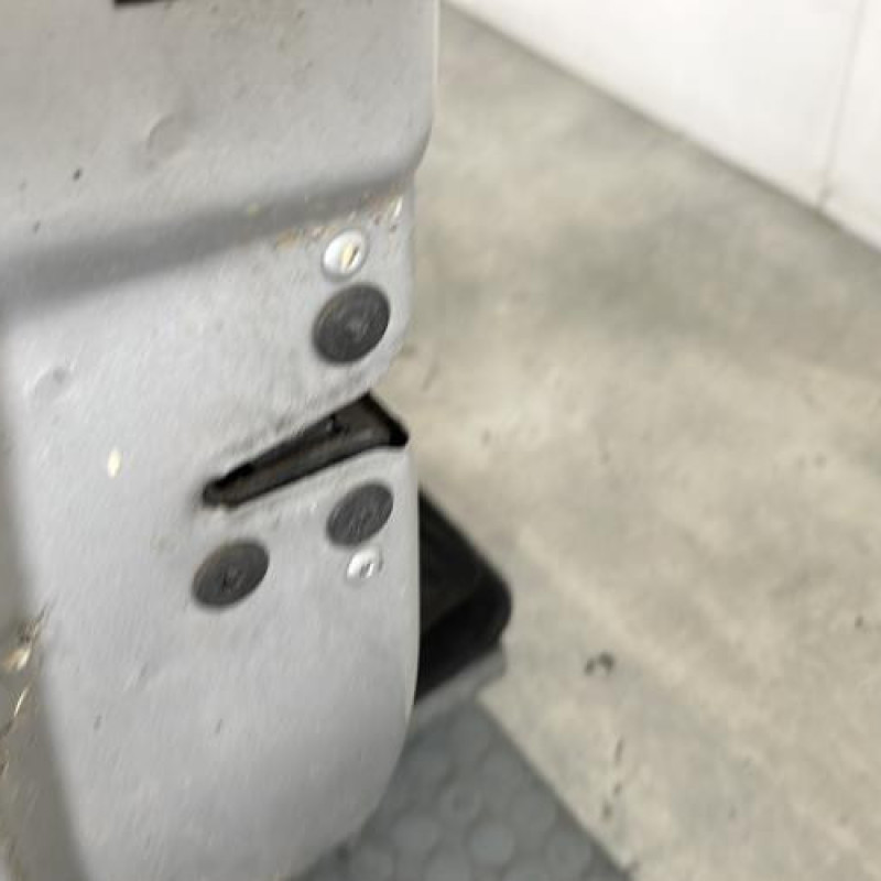 Porte avant gauche RENAULT CLIO 3 Photo n°3