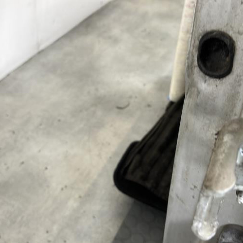 Porte avant gauche RENAULT CLIO 3 Photo n°5