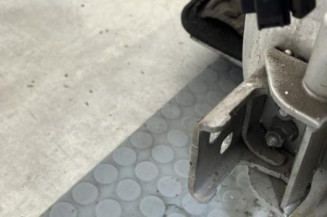 Porte avant gauche RENAULT CLIO 3