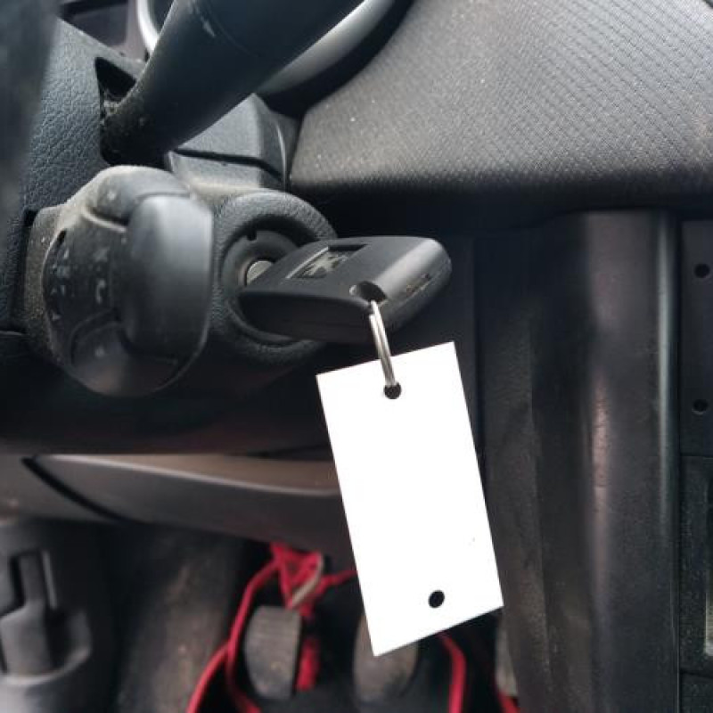 Attache ceinture avant gauche PEUGEOT 207 Photo n°12