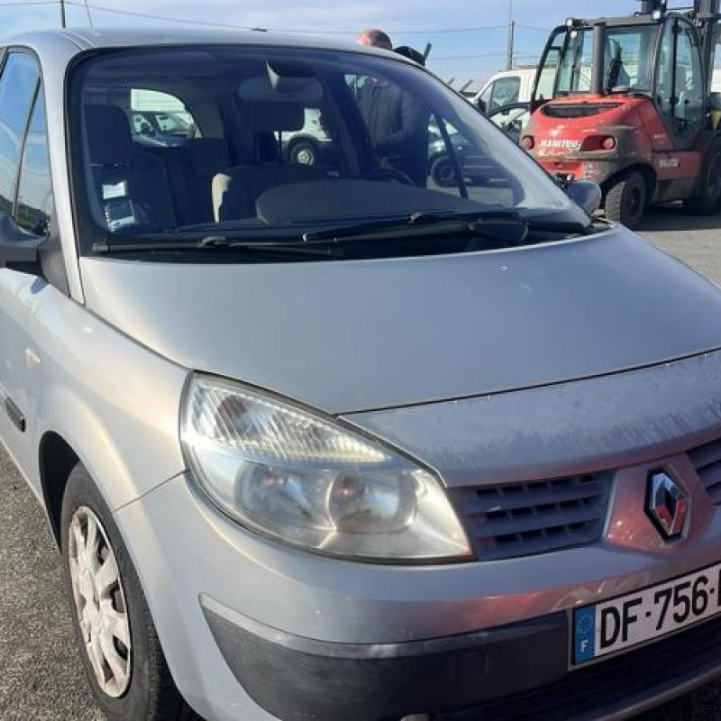 Custode avant droit (porte) RENAULT SCENIC 2 Photo n°6