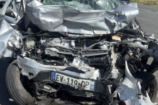 Eclairage de plaque DACIA SANDERO 2