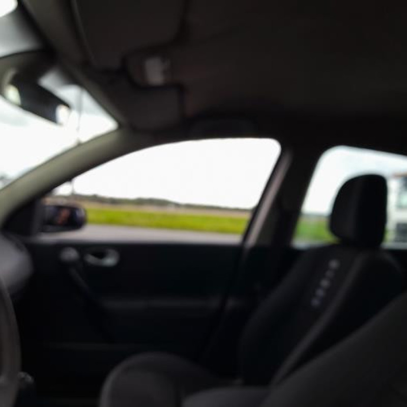 Poignee porte avant droit RENAULT MEGANE 2 Photo n°13