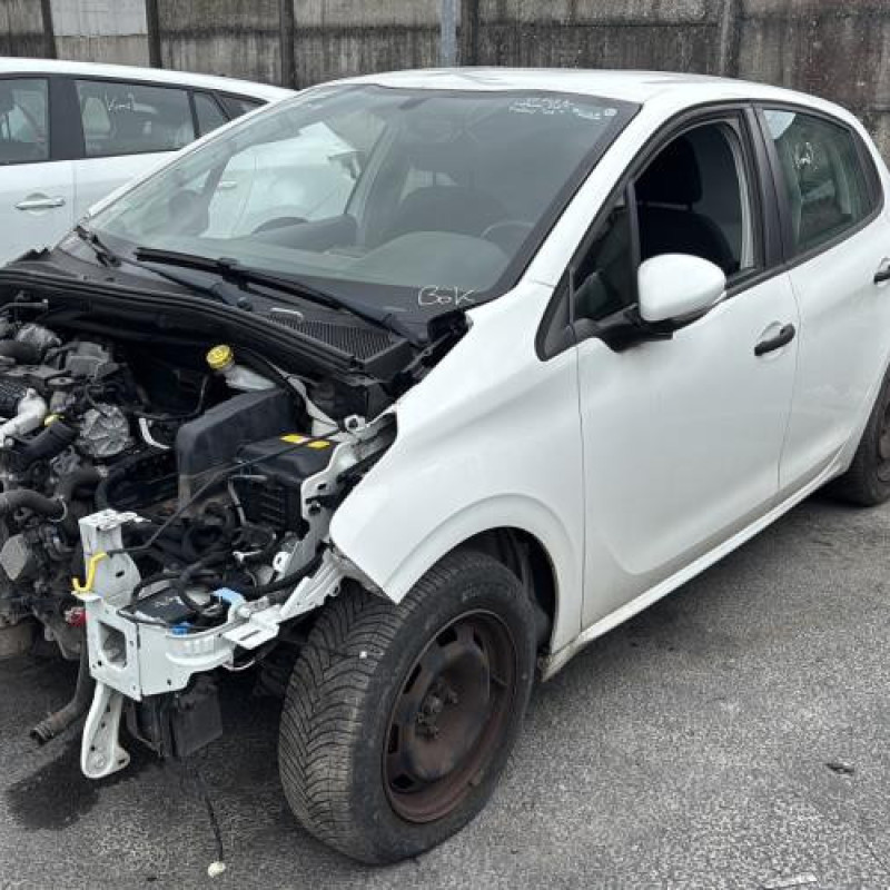 Vase de lave glace PEUGEOT 208 1 Photo n°4