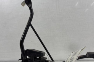 Pedale d'accelerateur RENAULT KANGOO 1