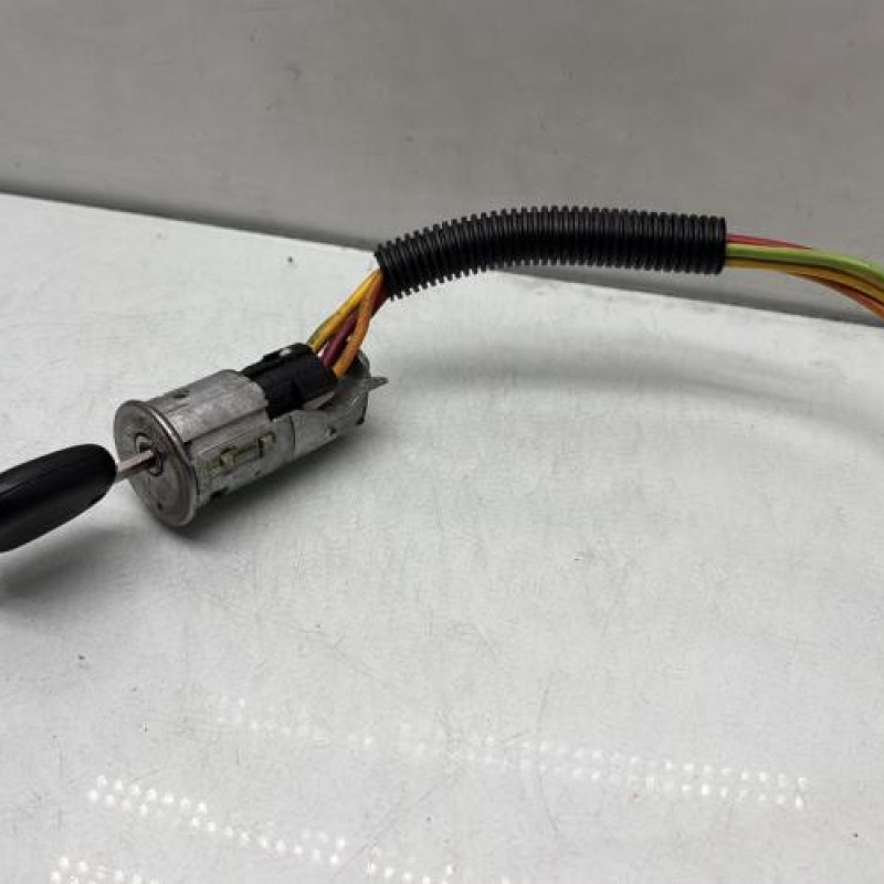 Neiman RENAULT SCENIC 1 Photo n°2