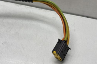 Neiman RENAULT SCENIC 1