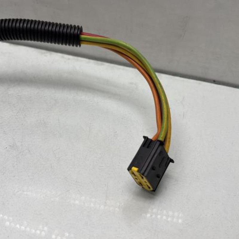 Neiman RENAULT SCENIC 1 Photo n°3