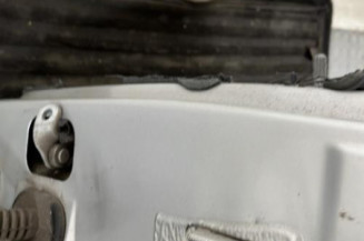 Porte arriere gauche RENAULT CLIO 2