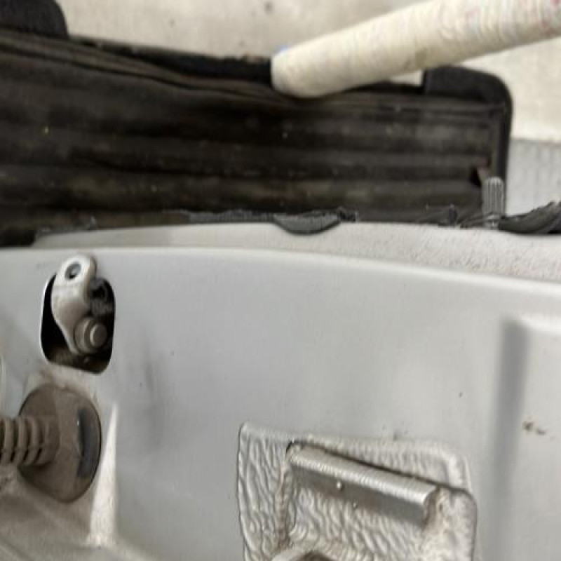 Porte arriere gauche RENAULT CLIO 2 Photo n°3