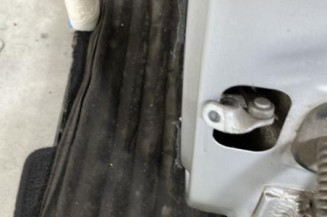 Porte arriere gauche RENAULT CLIO 2