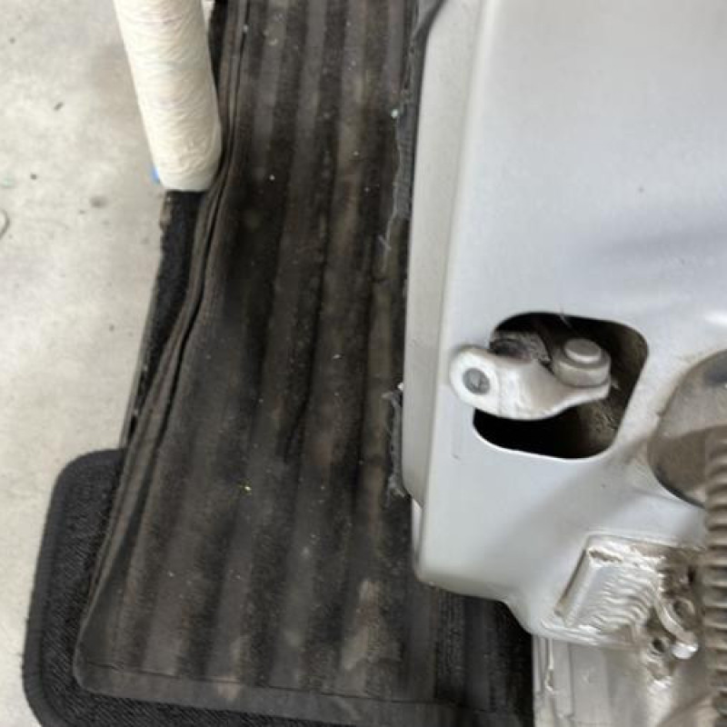 Porte arriere gauche RENAULT CLIO 2 Photo n°4