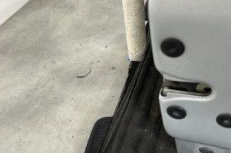 Porte avant droit RENAULT CLIO 2