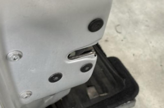 Porte avant gauche RENAULT CLIO 2