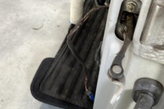 Porte avant gauche RENAULT CLIO 2