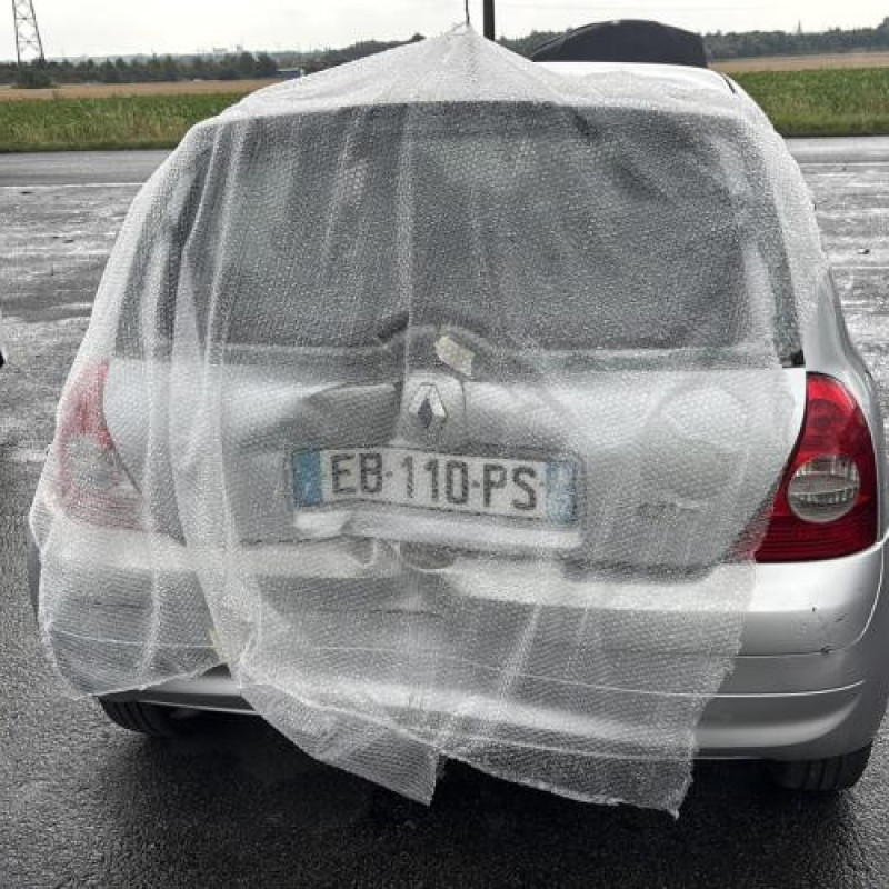 Porte avant droit RENAULT CLIO 2 Photo n°11