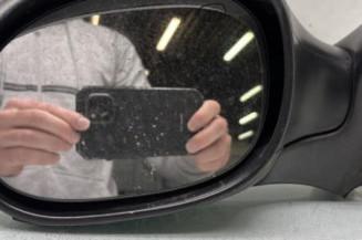 Retroviseur gauche CITROEN XSARA PICASSO Photo n°1